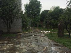 -张公山寨景区