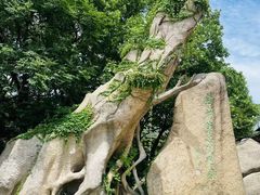 -宝岩生态观光园