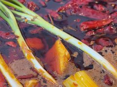 -黄潇洒老火锅(九眼桥宏济巷店)