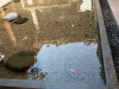 -晋江五店市传统文化旅游区