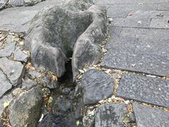 -皇藏峪国家森林公园