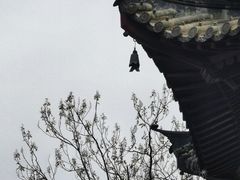 -龙华寺