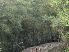 -丹山赤水风景名胜区
