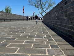 -蓬莱阁景区