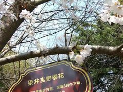 -西安青龙寺遗址景区