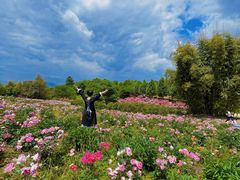 -都江堰玫瑰花溪谷