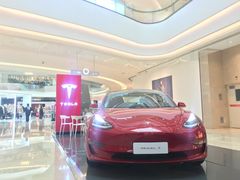 -TESLA 特斯拉(郑州正弘城体验店)