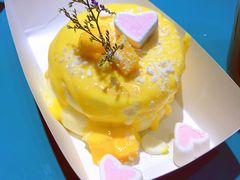 -狐狸和向日葵(北京路店)