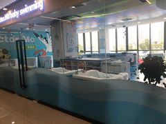 -马博士婴幼儿游泳馆(门头沟店)