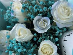 -上海星瀚奔驰4S店(红柳路店)