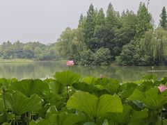-江南大学(蠡湖校区)