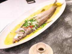 太湖白鱼-苏帮袁Sue Cuisine(来福士店)