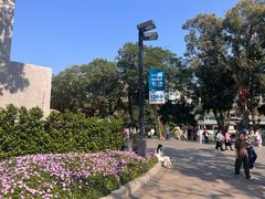 -荔湾湖公园