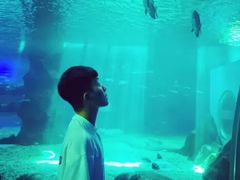 -北戴河圣蓝海洋公园