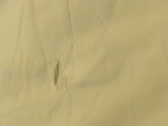 -四川江油戴斯大酒店