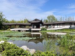 -上海滨江森林公园