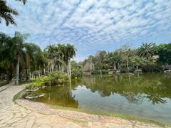 -中国科学院西双版纳热带植物园