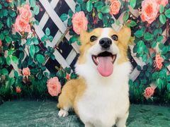 -太原东方动物医院(小店分院)