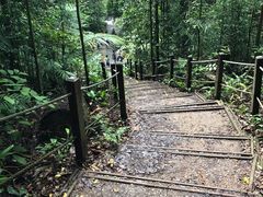 -武吉知马自然保护区