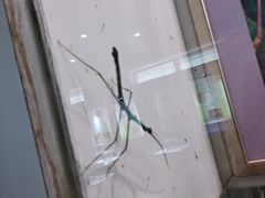 -上海昆虫博物馆