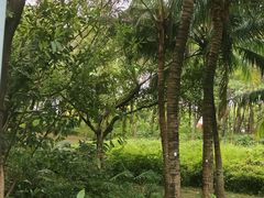 -深圳湾公园(南山区)