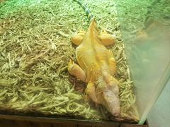 -海合安武汉极地海洋公园