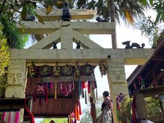 -西双版纳原始森林公园