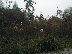 -荆川公园