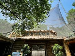 -燕塞湖鸟语林景区