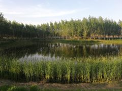 -东郊湿地公园