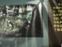 -国家自然博物馆