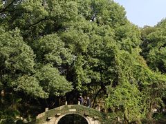 -绮园景区