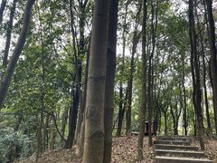 -广州市帽峰山景区