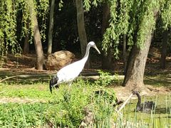 -石家庄市动物园