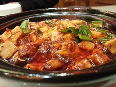-陈麻婆豆腐总店