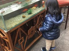 -杭州香格里拉饭店