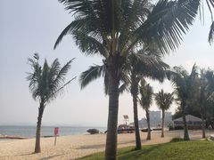 -玫瑰海岸文化旅游度假区