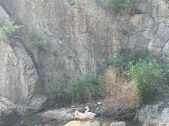 -灵溪风景区