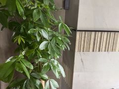 -浅深Cheersum(曹杨店)