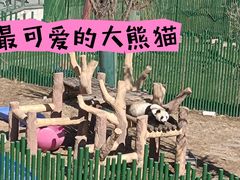 -沈阳森林动物园