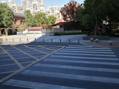 -苏州宋庆龄国际幼儿园