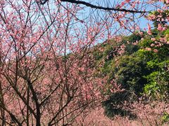 -广州市白云山风景名胜区