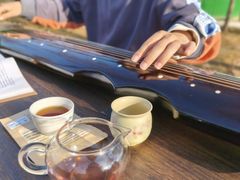 -诗宇时光茶艺书法古琴培训