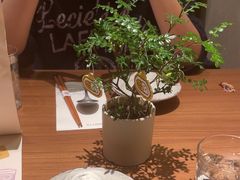 -CURRY YA 熟成咖哩專門店(深圳湾万象城店)