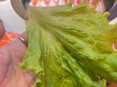 -杨记齐齐哈尔烤肉(总店)