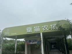 -太湖雪蚕桑文化园