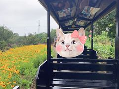 -武汉紫薇都市田园