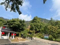 -遵化市禅林寺古银杏风景园