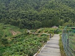 -塔川景区