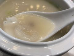 -诺莱仕游艇会